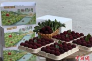 在线占卜高速赋能产业升级：一条“杨梅路”的致富密码