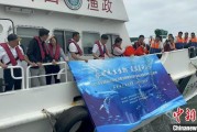 在线占卜浙江今年计划放流种类海洋水生生物苗种超15亿单位