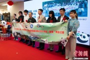 在线占卜中国彩绘熊猫艺术国际巡展东京站开幕