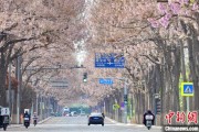 在线占卜共建“花园城市” 北京这场议政会“百花齐放”