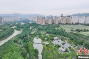 在线占卜西宁市举办六五环境日主题宣传活动